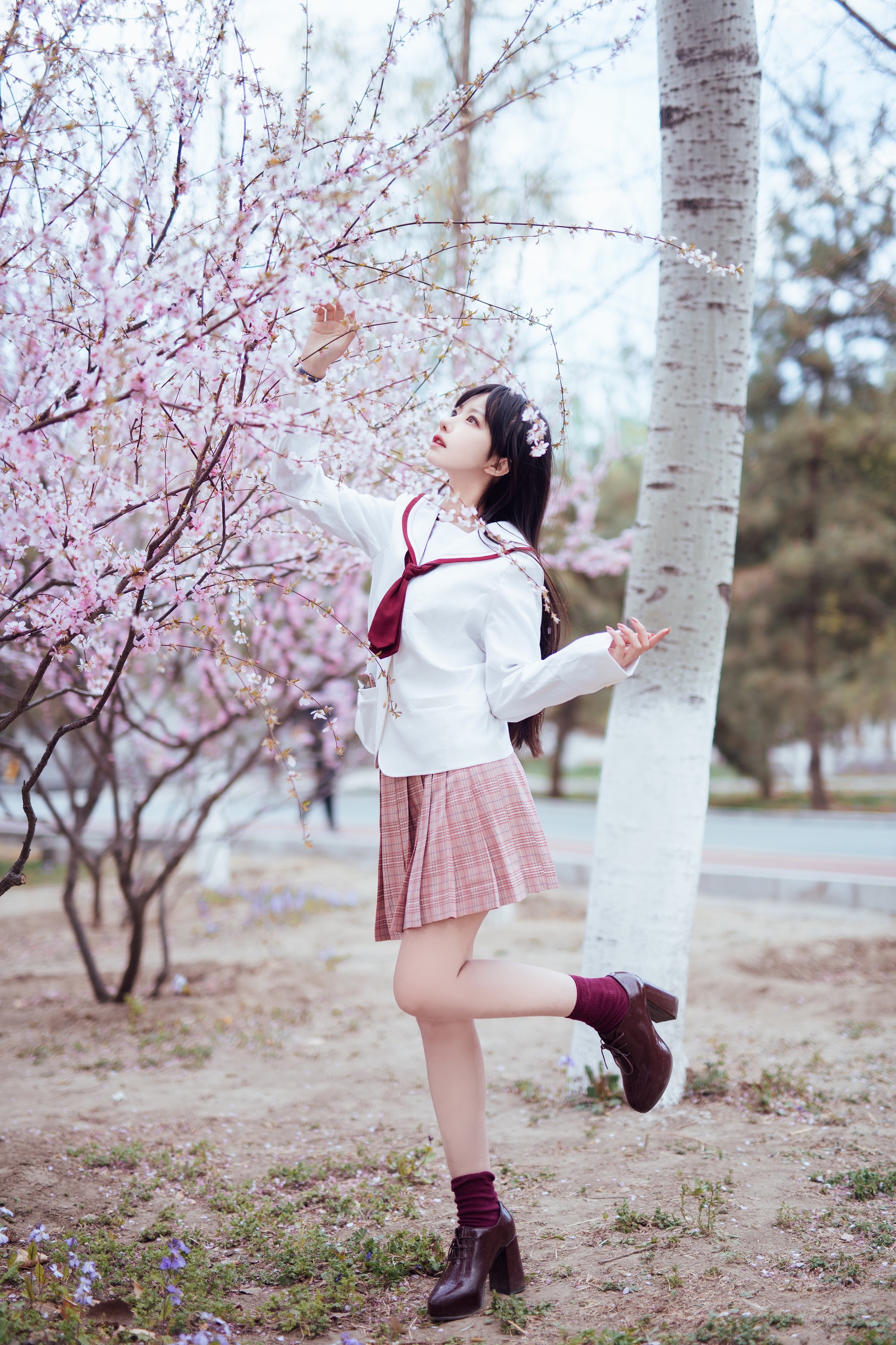 图片[1]-Shika小鹿鹿 – NO.047 樱花 [13P]-XikXak